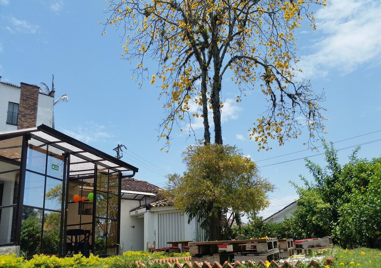 Hostal Morobik Popayán Exterior foto